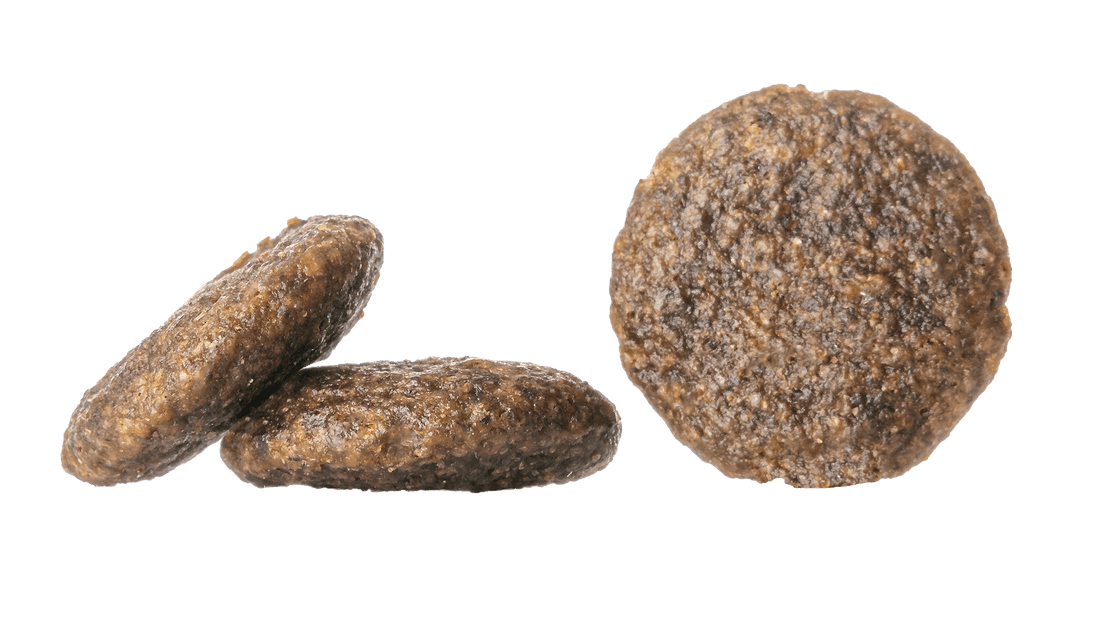 Africa | Shop Brit | UK Pet Shop | Grain-Free Dog Food