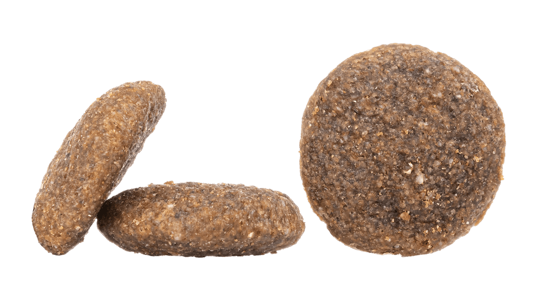 Montana | Shop Brit | UK Pet Shop | Grain-Free Dog Food