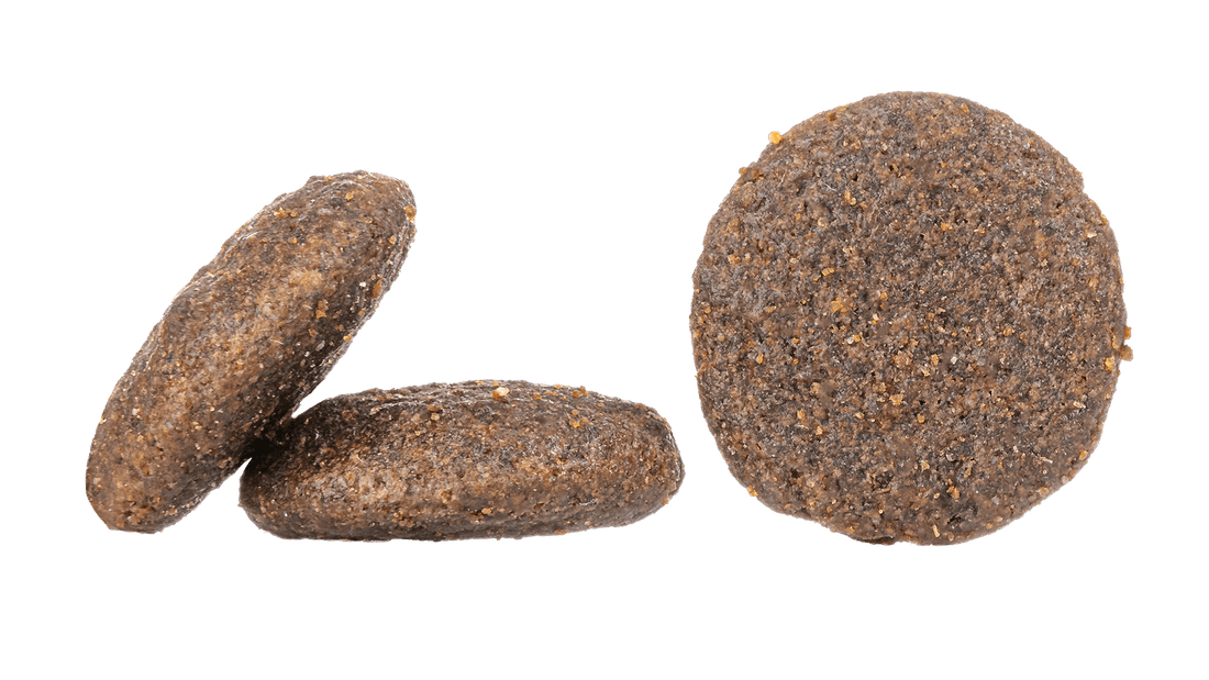 Canada | Shop Brit | UK Pet Shop | Grain-Free Dog Food