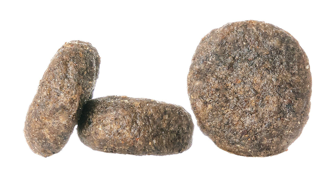 Mini Canada - Sensitive Dog | Shop Brit | UK Pet Shop | Grain-Free Dog Food