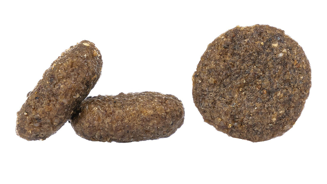 Mini Montana | Shop Brit | UK Pet Shop | Grain-Free Dog Food