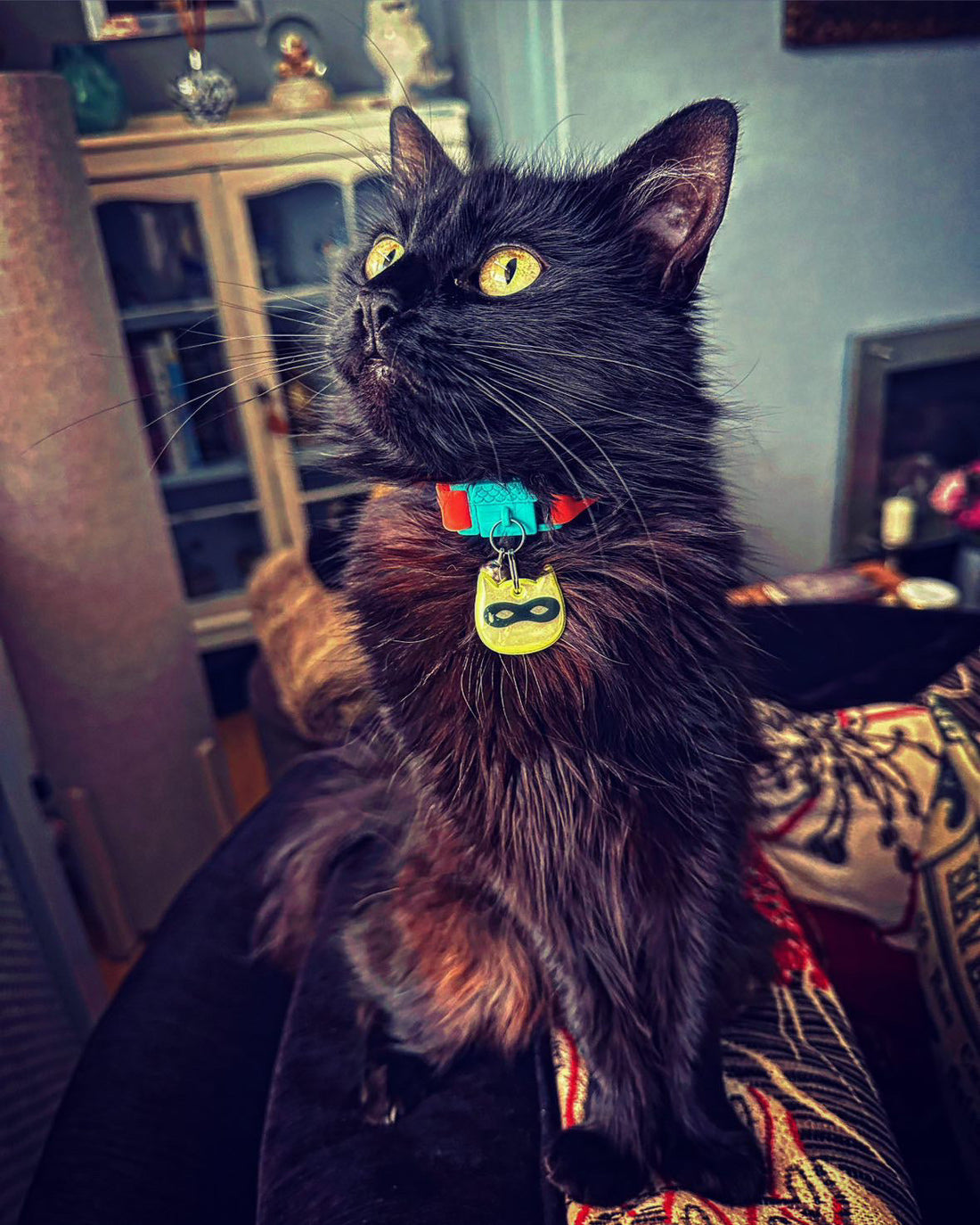 KITTYRAMA YELLOW NINJA CAT CHARM – Reflective, Safe, High Visibility | Shop Brit | UK Pet Shop | Cat Supplies