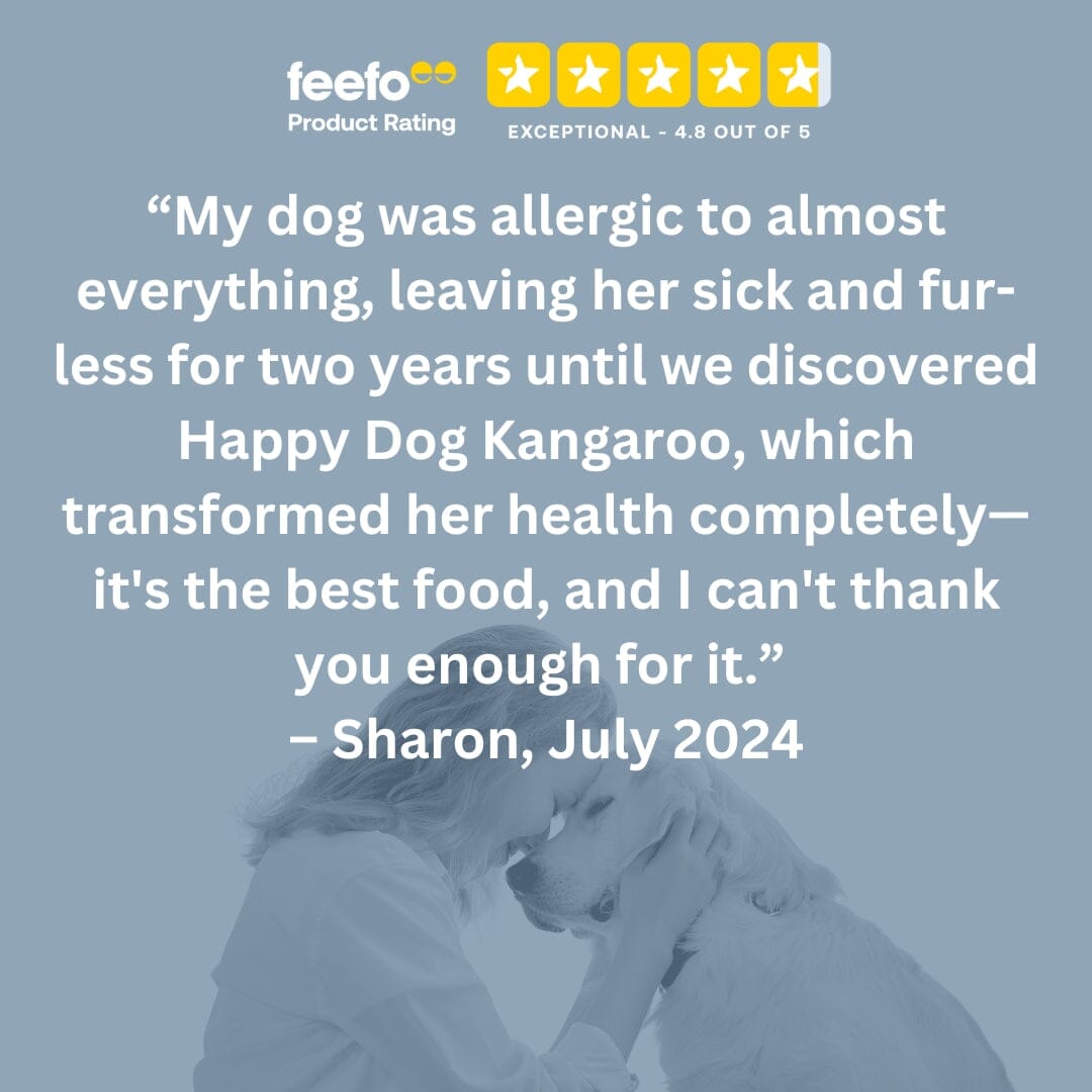 Pure Kangaroo Wet Dog Food (Australia) | Shop Brit | UK Pet Shop | Wet Dog Food