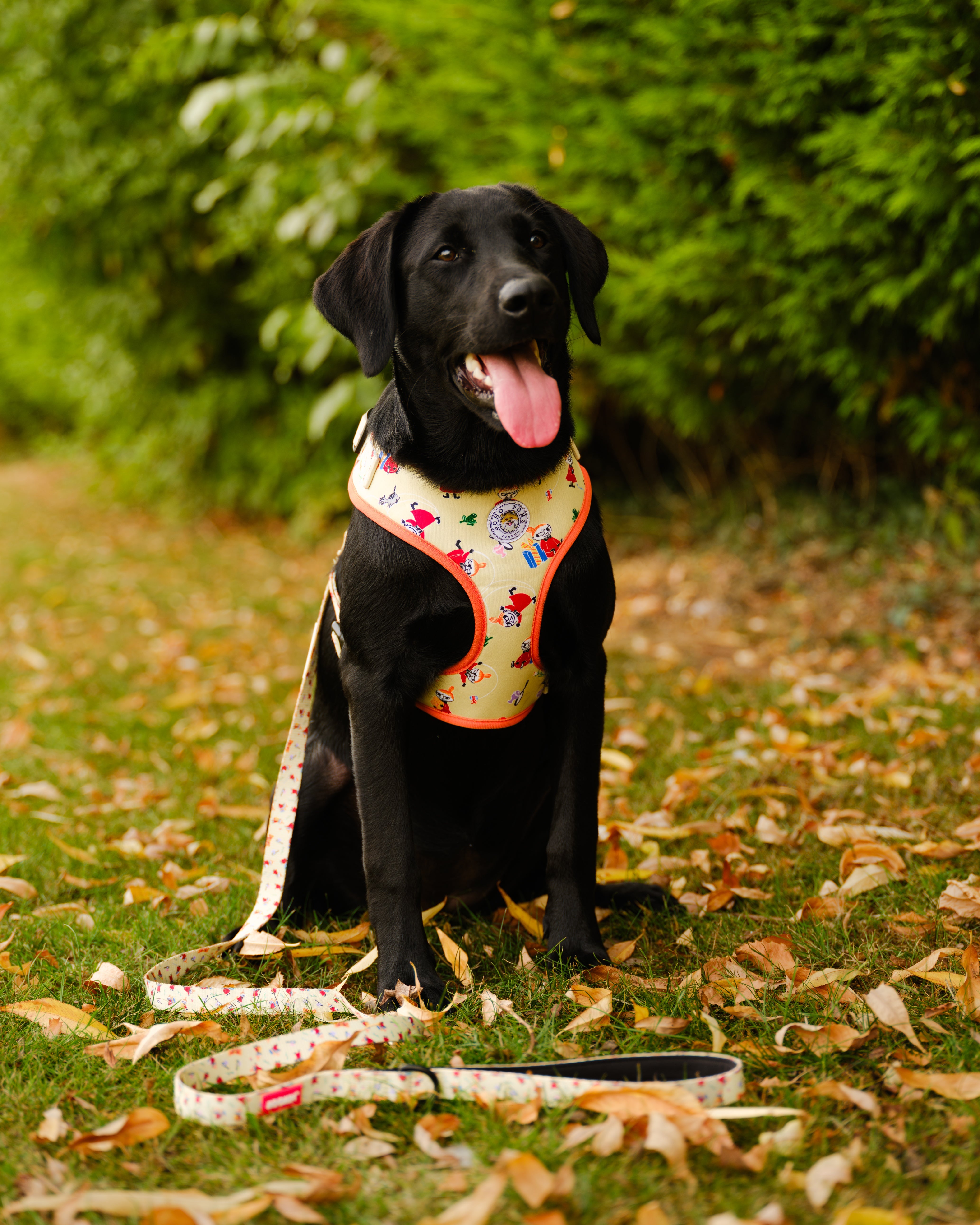 Moomins Yellow Sunrise Dogs Padded Harness by Soho Poms | Shop Brit | UK Pet Shop | Dog Harnesses