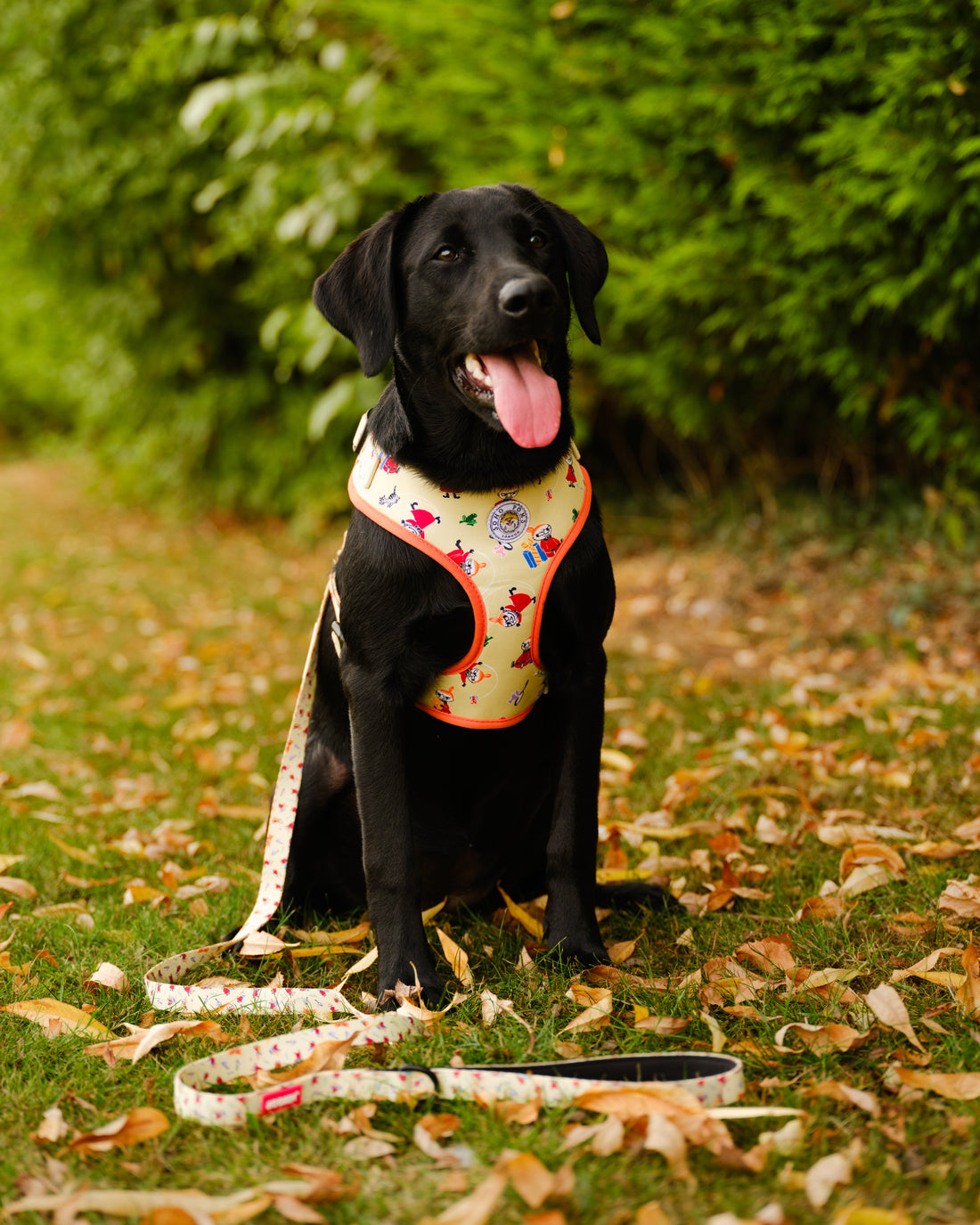 Moomins Yellow Sunrise Dogs Padded Harness by Soho Poms | Shop Brit | UK Pet Shop | Dog Harnesses