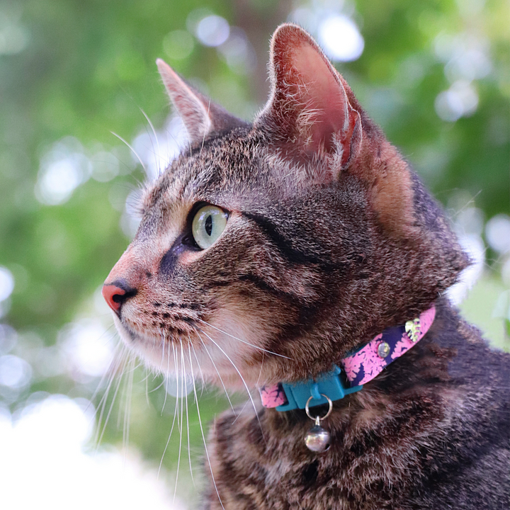 KITTYRAMA BOTANICALS FERN CAT COLLAR - Quick Release, Breakaway, Hypoallergenic | Shop Brit | UK Pet Shop | Cat Supplies
