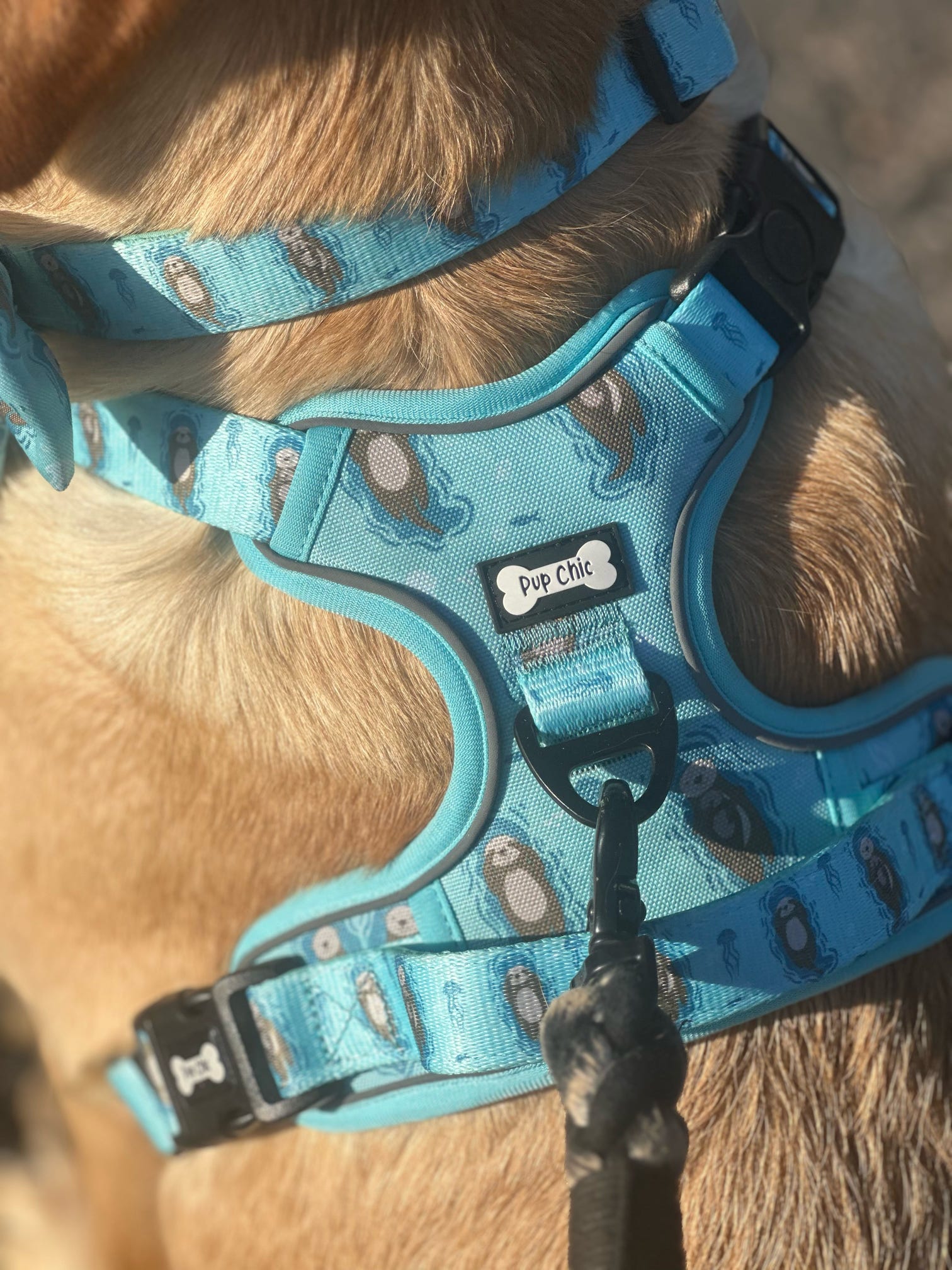Otterly Lovely Tactical Dog Harness – No Pull &  Fully Adjustable | Shop Brit | UK Pet Shop | 