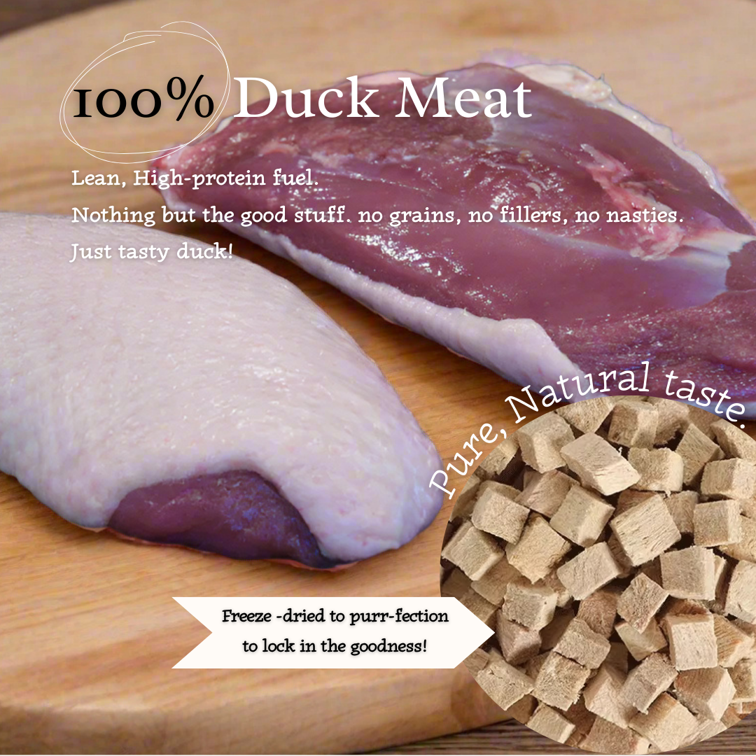 Ducky Delights - 100% Freeze-Dried Duck Treats | Novel Protein | Tail Tips UK | Shop Brit | UK Pet Shop | 