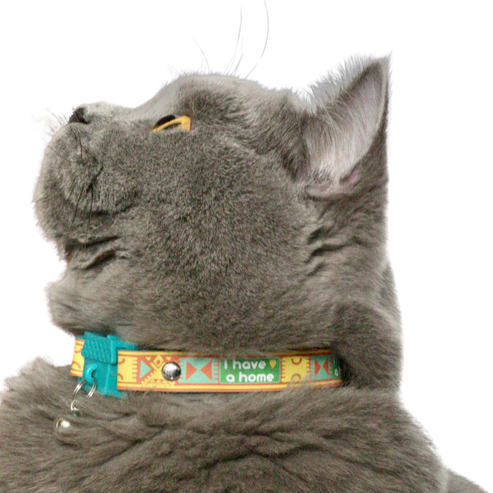KITTYRAMA SAVANNA 'I HAVE A HOME' CAT COLLAR - Quick Release, Breakaway, Hypoallergenic | Shop Brit | UK Pet Shop | Cat Supplies