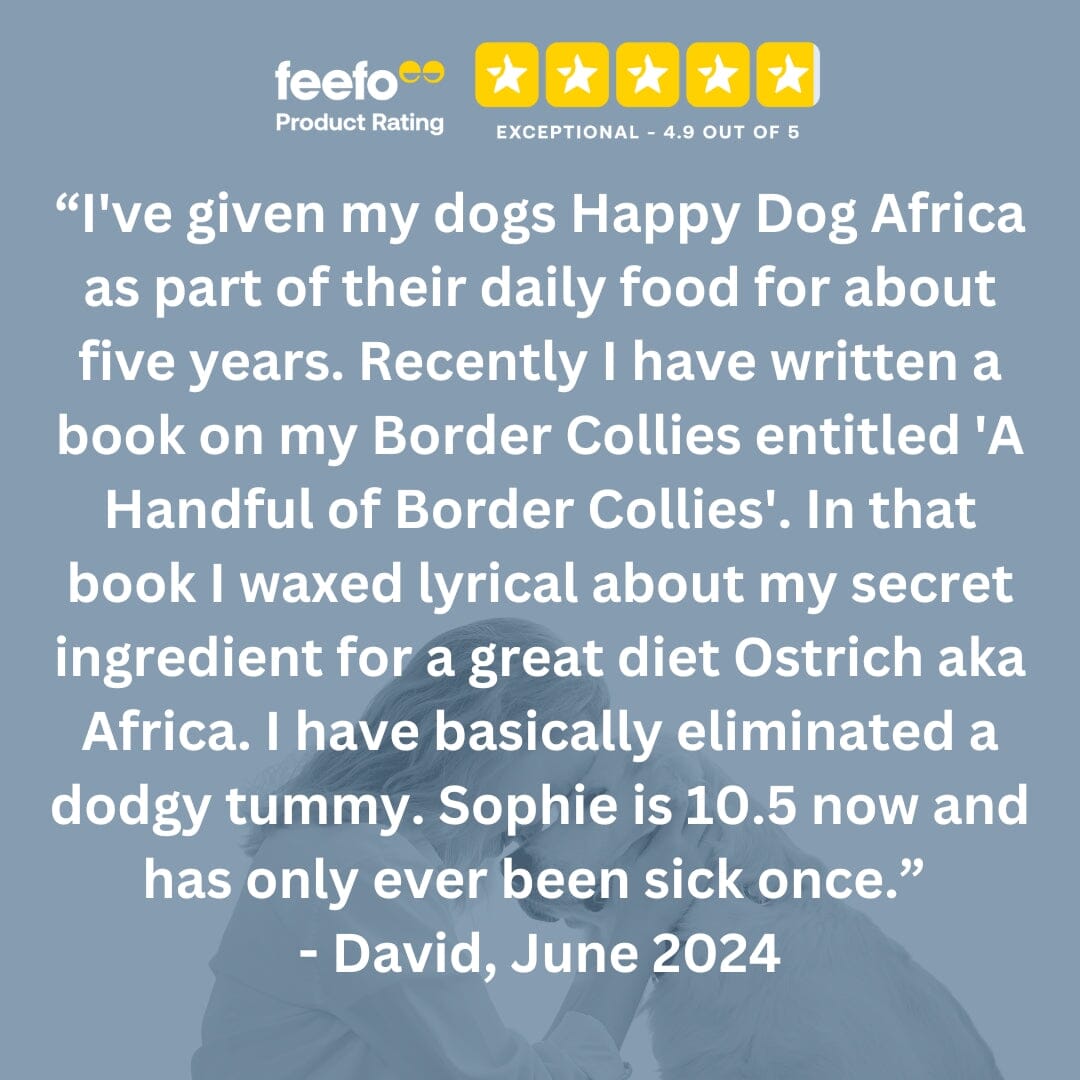 Africa | Shop Brit | UK Pet Shop | Grain-Free Dog Food