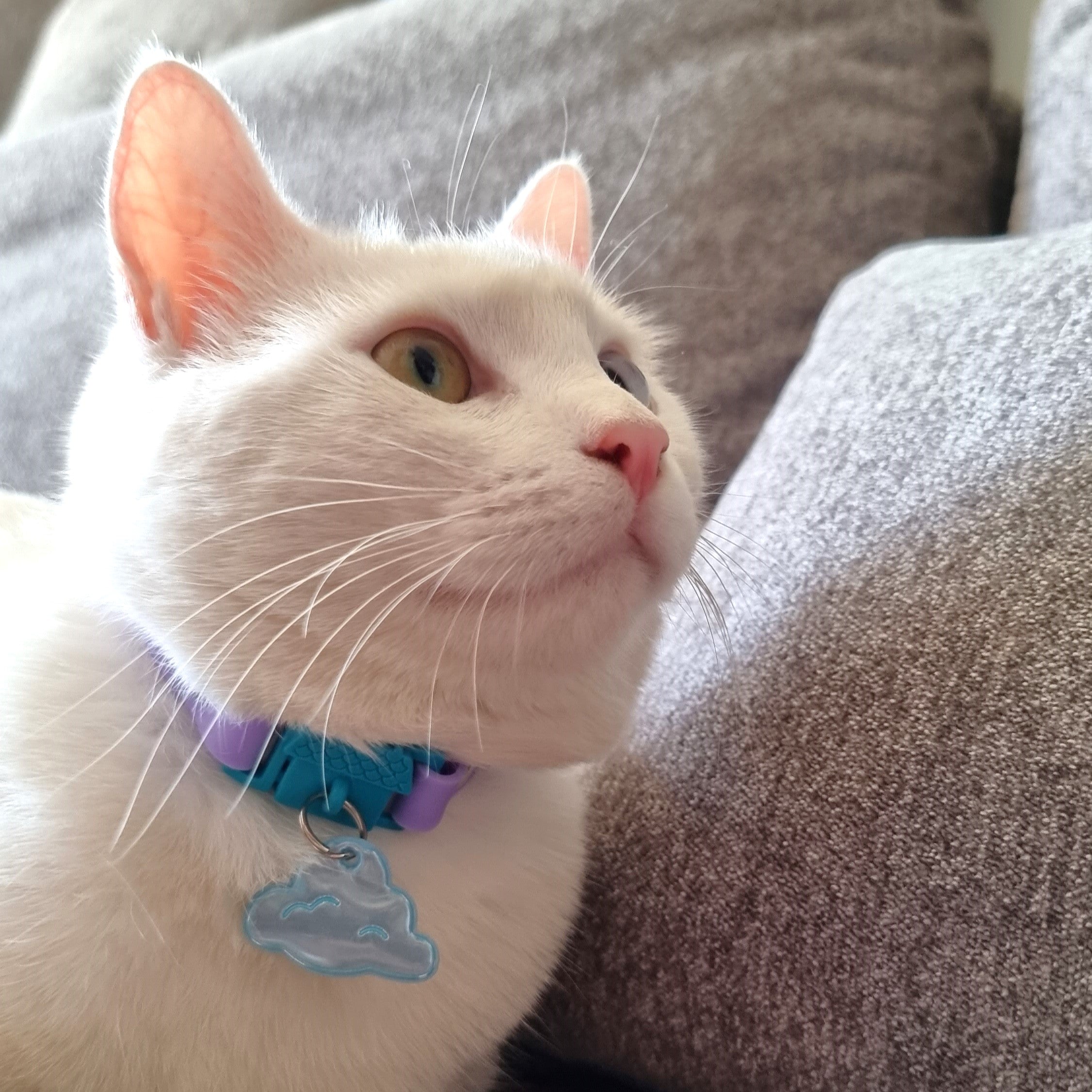 KITTYRAMA CLOUD CAT CHARM – Reflective, Safe, High Visibility | Shop Brit | UK Pet Shop | Cat Supplies