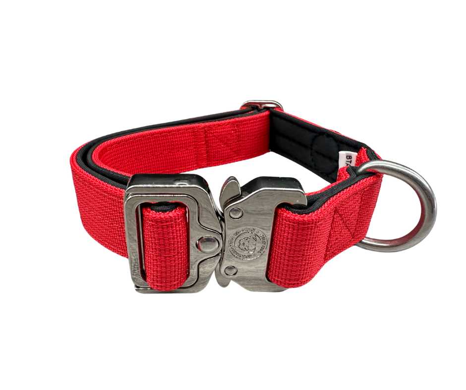 2.5cm Nylon BTactical™ Collar | Citrus Red