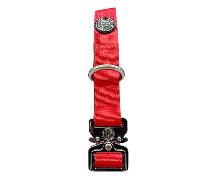 2.5cm Nylon BTactical™ Collar | Citrus Red