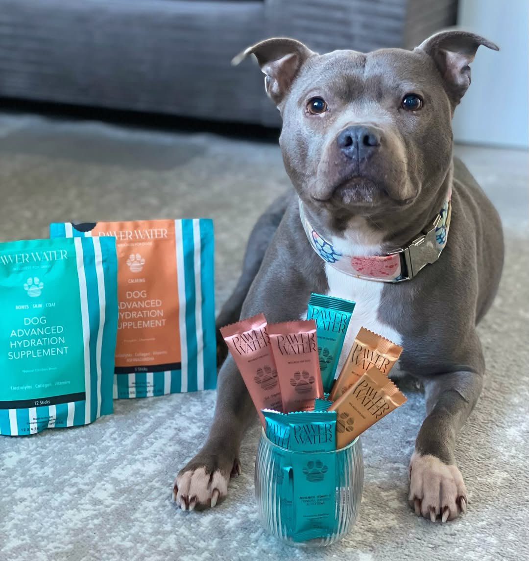 The Ultimate Bundle | Shop Brit | UK Pet Shop | 