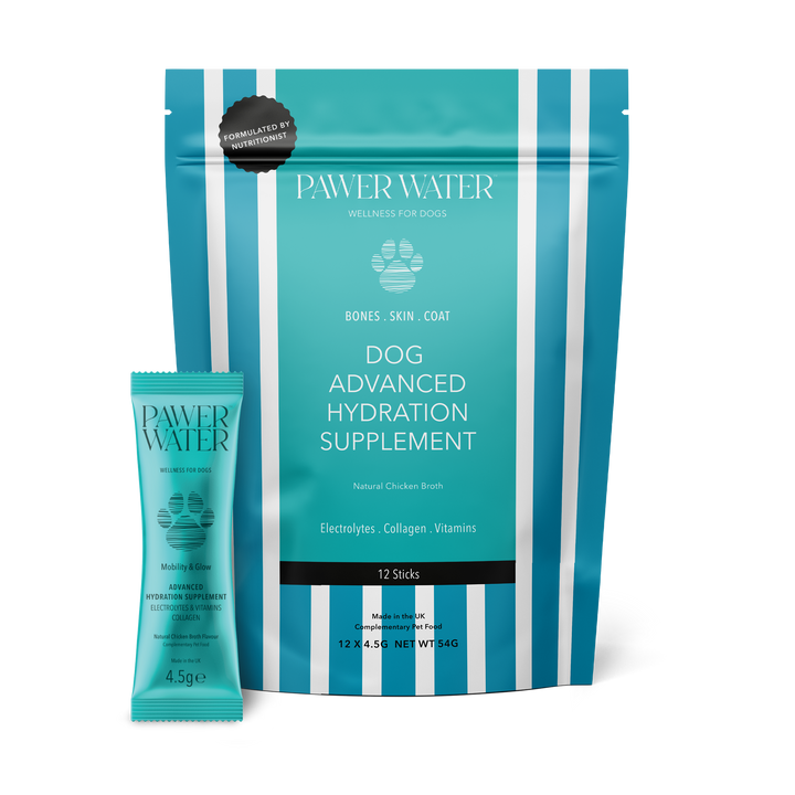 Pawer Water Joint Support (12 sticks Pouch) | Shop Brit | UK Pet Shop | 