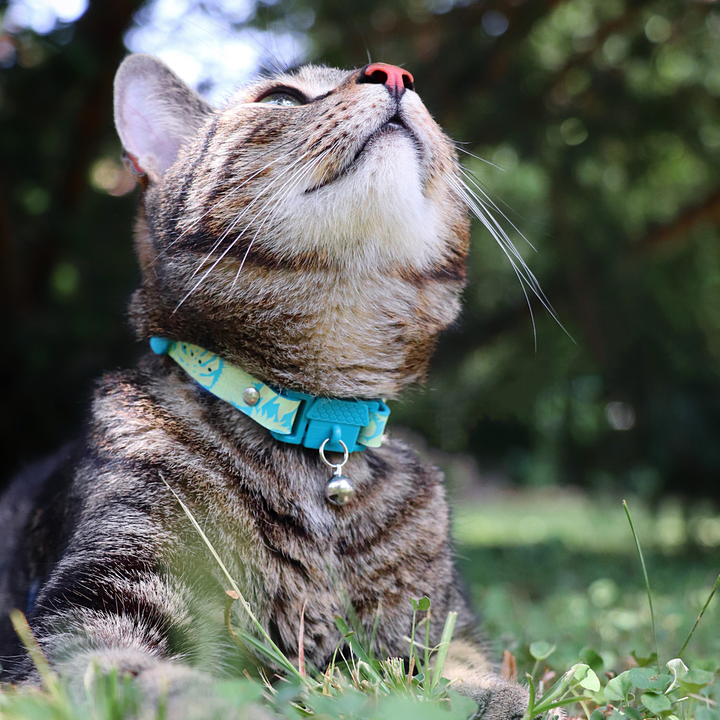 KITTYRAMA BOTANICALS JUNGLE CAT COLLAR - Quick Release, Breakaway, Hypoallergenic | Shop Brit | UK Pet Shop | Cat Supplies