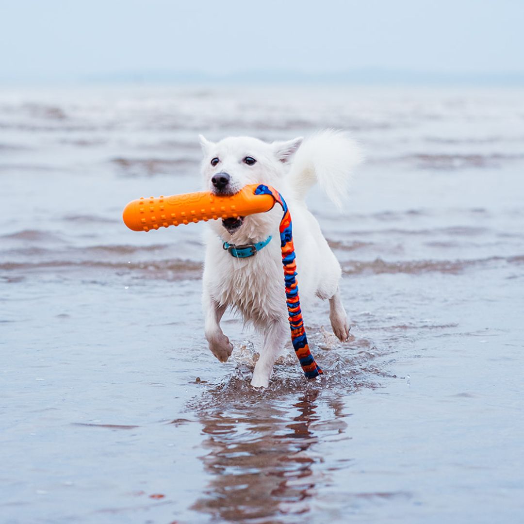 BOB: The 3-in-1 Dog Dummy | Shop Brit | UK Pet Shop | 