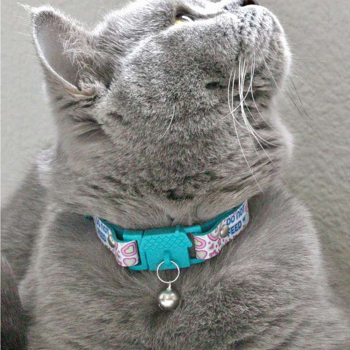 KITTYRAMA PEARL 'DO NOT FEED' CAT COLLAR - Quick Release, Breakaway, Hypoallergenic | Shop Brit | UK Pet Shop | Cat Supplies