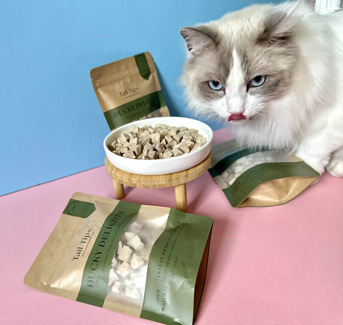 Ducky Delights - 100% Freeze-Dried Duck Treats | Novel Protein | Tail Tips UK | Shop Brit | UK Pet Shop | 