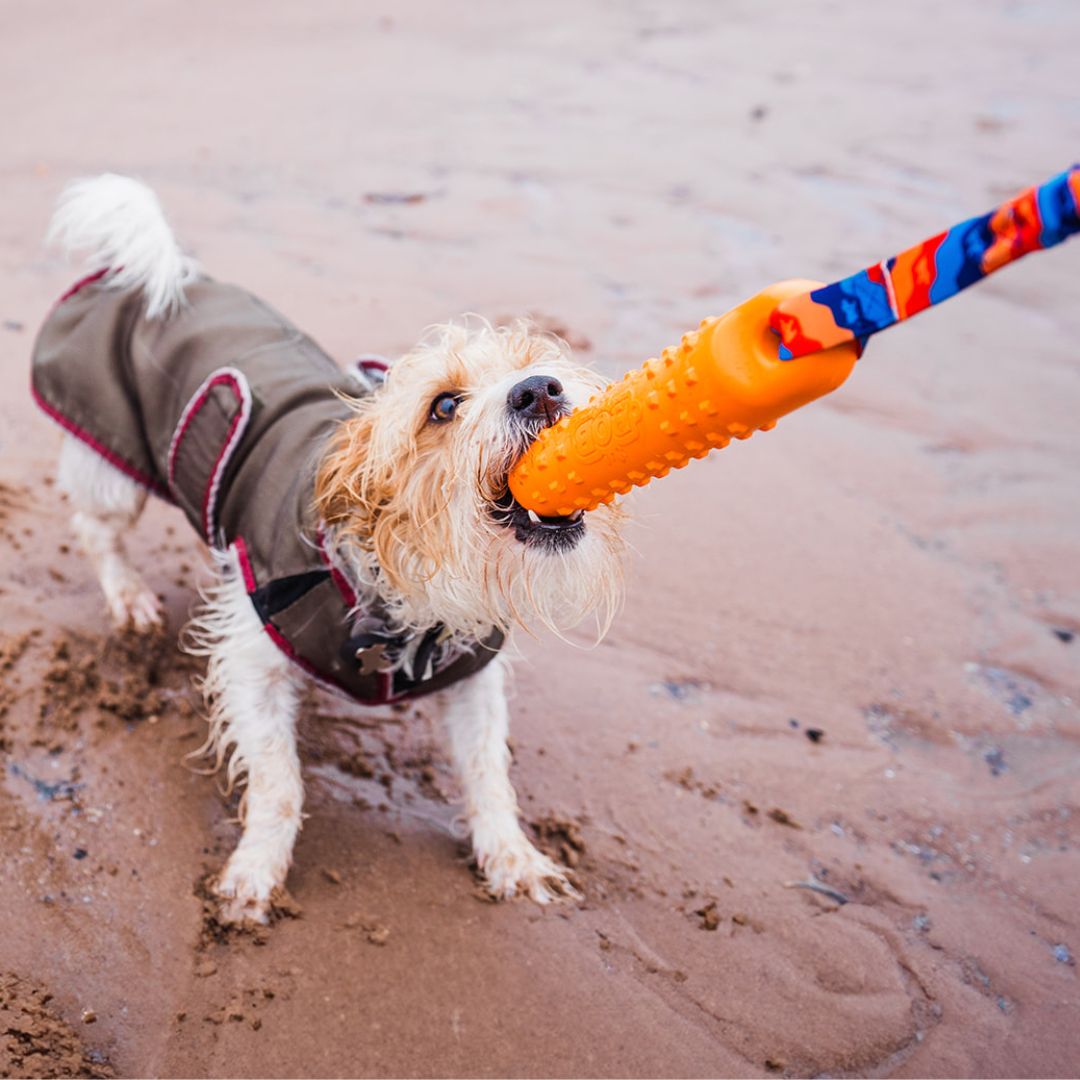 BOB: The 3-in-1 Dog Dummy | Shop Brit | UK Pet Shop | 