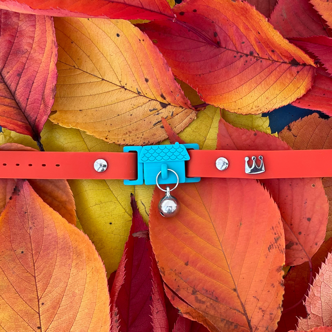 KITTYRAMA SAFFRON CAT COLLAR - Quick Release, Breakaway, Hypoallergenic | Shop Brit | UK Pet Shop | Cat Supplies