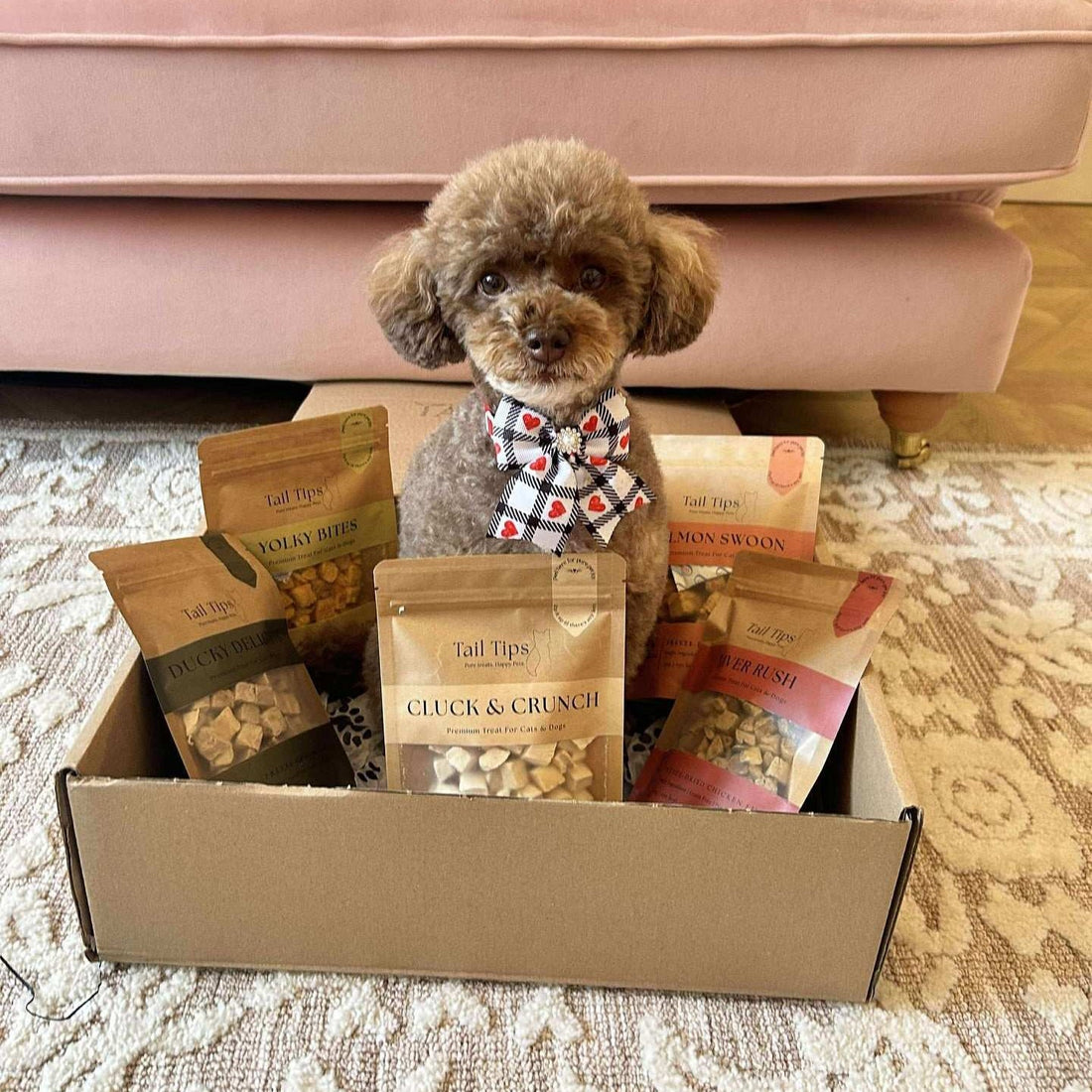 Taster Pack - 5 Freeze-Dried Pet Treats | Try All Flavours | Tail Tips UK | Shop Brit | UK Pet Shop | Pet Treats