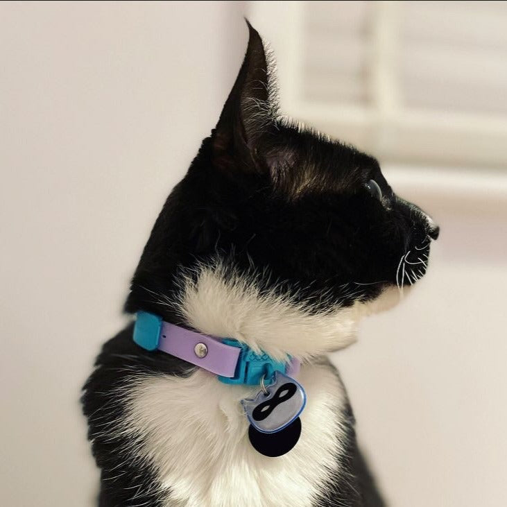 KITTYRAMA BLUE NINJA CAT CHARM – Reflective, Safe, High Visibility | Shop Brit | UK Pet Shop | Cat Supplies