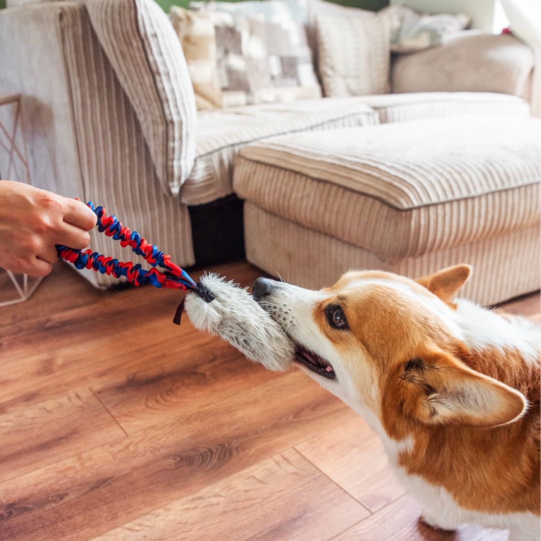 Faux Fur Pocket Bungee Squeaker | Shop Brit | UK Pet Shop | Bungee Tug Toy