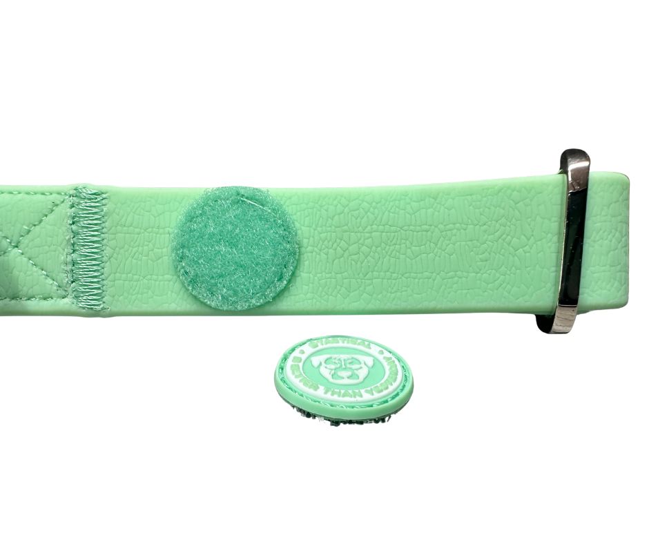 2.5cm PVC BTactical™ Collar | Pastel Green