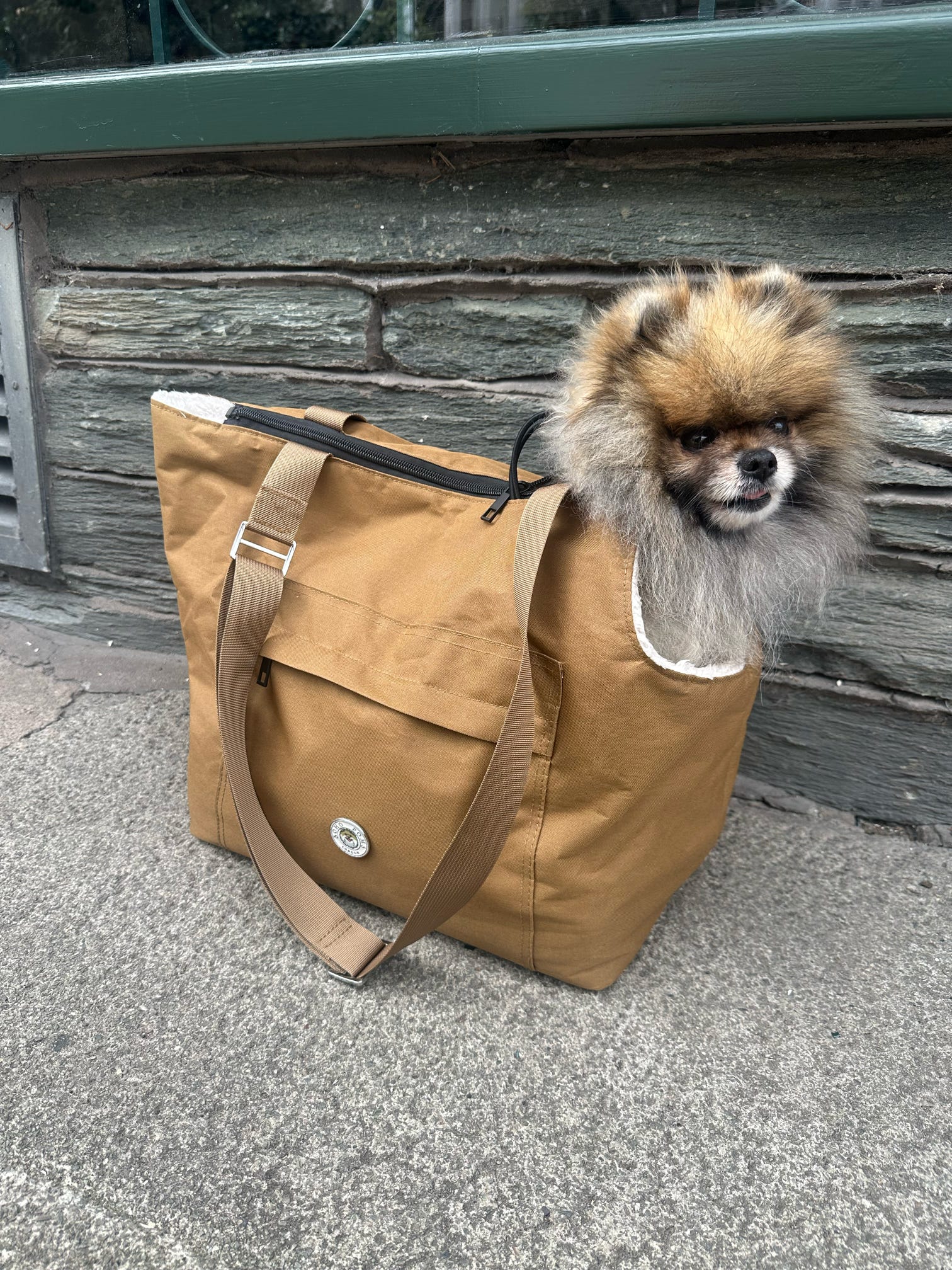Soho Poms Light Brown & Cream Rainy Bear Pet Carrier - Ideal for Dogs & Cats | Shop Brit | UK Pet Shop | Dog Carrier