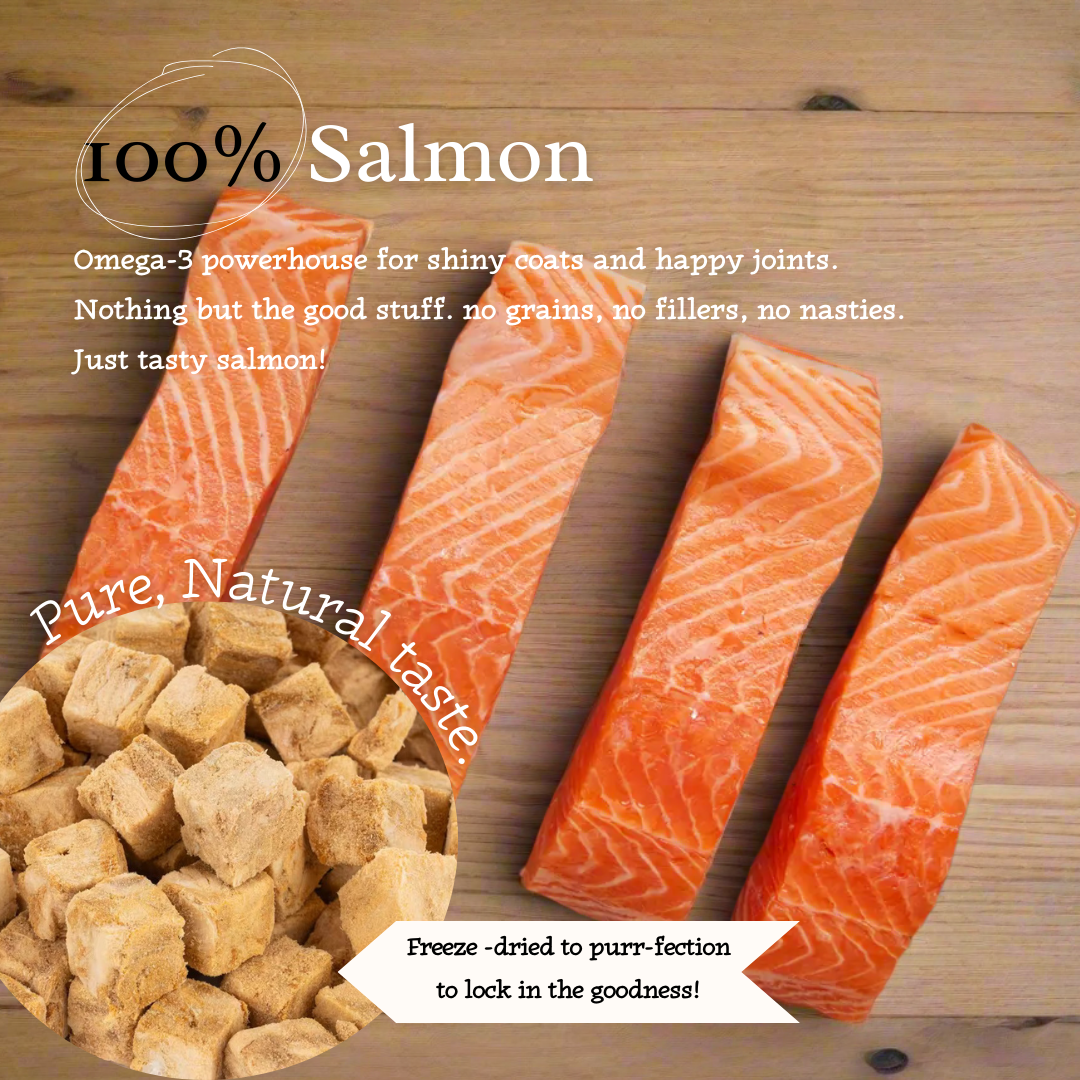 Salmon Swoon - 100% Freeze-Dried Salmon Treats | Pure & Natural | Tail Tips UK | Shop Brit | UK Pet Shop | 