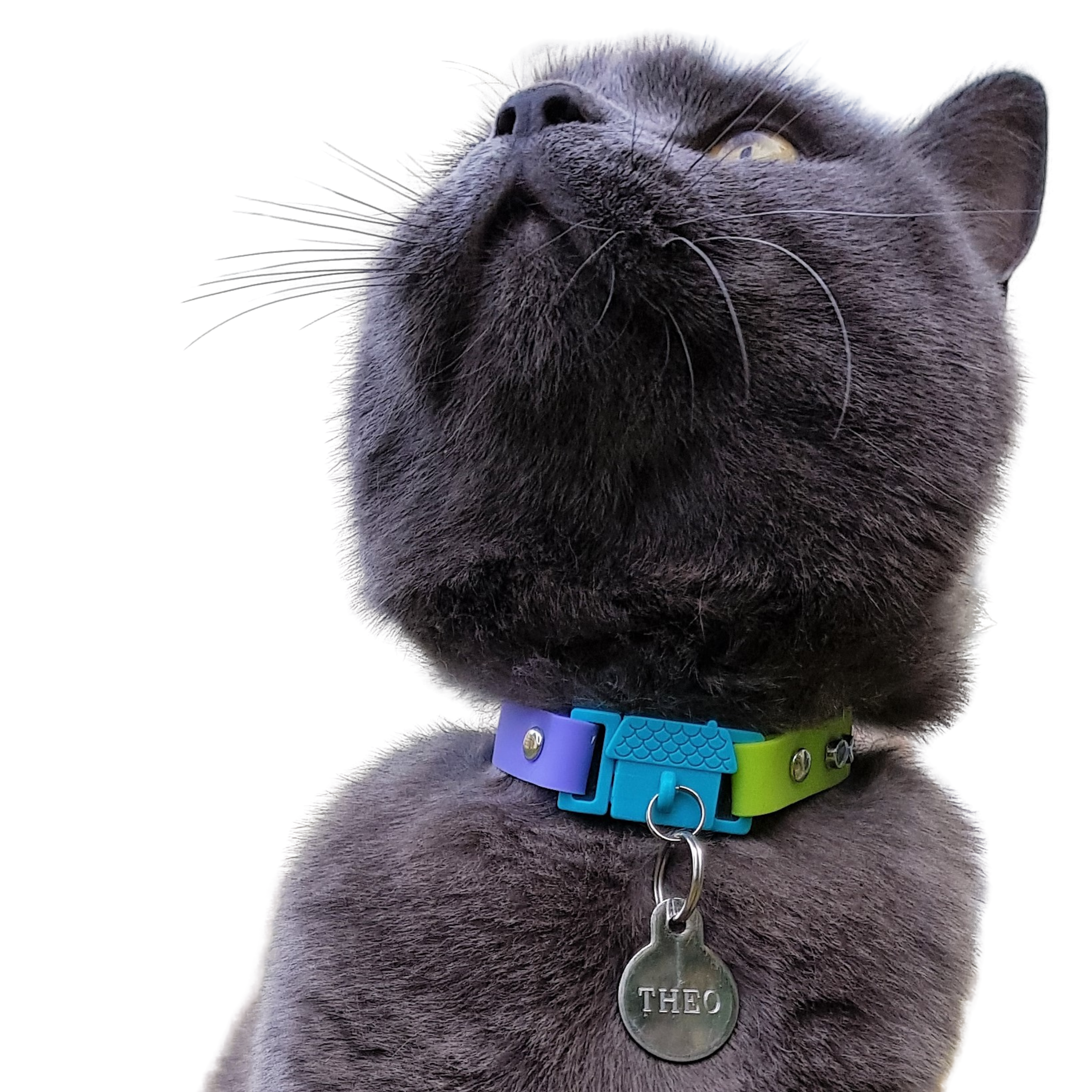 KITTYRAMA TAHITI CAT COLLAR - Quick Release, Breakaway, Hypoallergenic | Shop Brit | UK Pet Shop | Cat Supplies