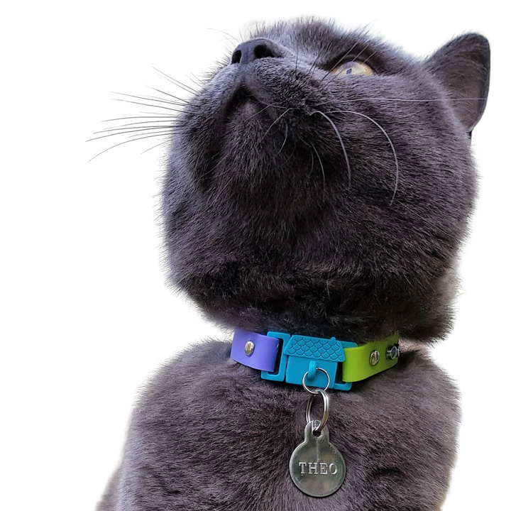KITTYRAMA TAHITI CAT COLLAR - Quick Release, Breakaway, Hypoallergenic | Shop Brit | UK Pet Shop | Cat Supplies