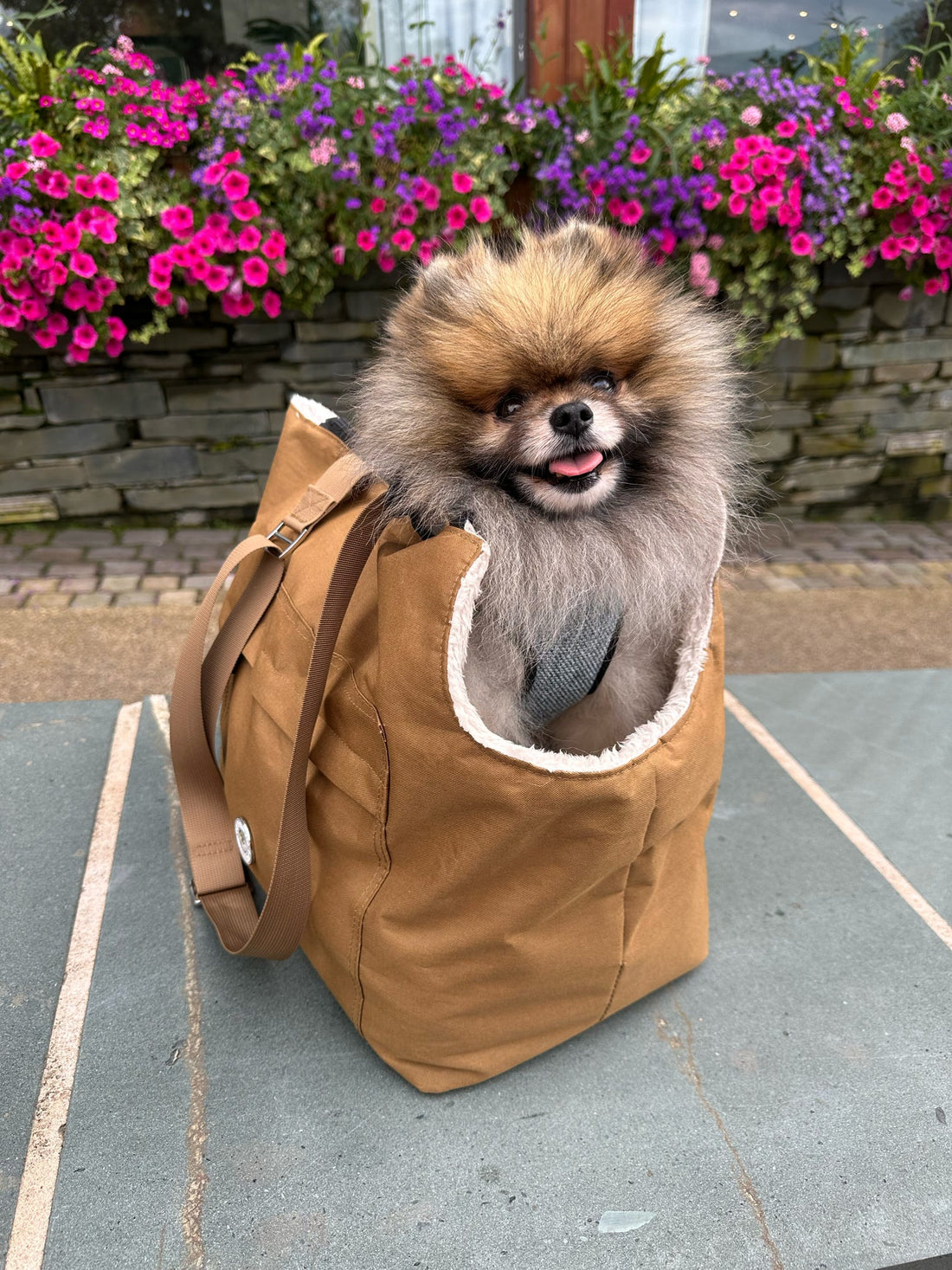 Soho Poms Light Brown & Cream Rainy Bear Pet Carrier - Ideal for Dogs & Cats | Shop Brit | UK Pet Shop | Dog Carrier