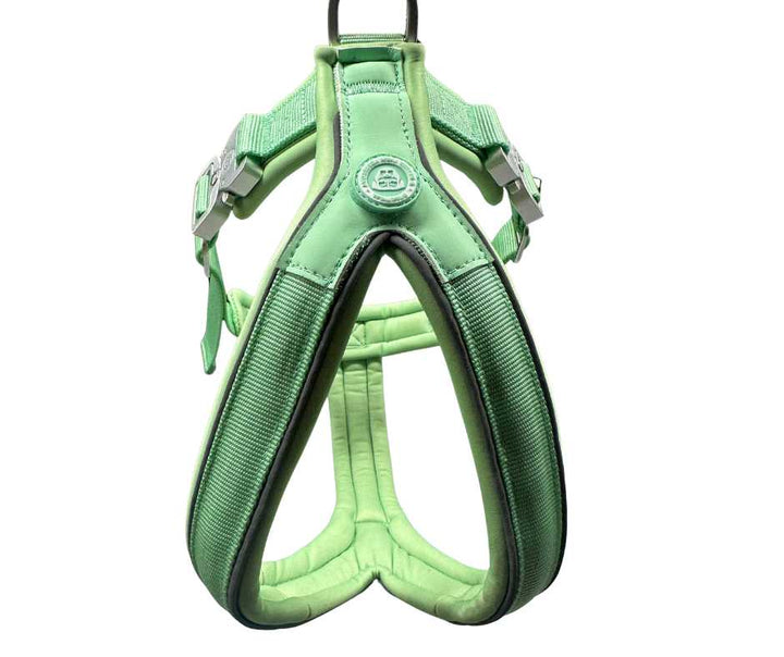 The 2.5cm BTactical™ Slip on Harness | Pastel Green
