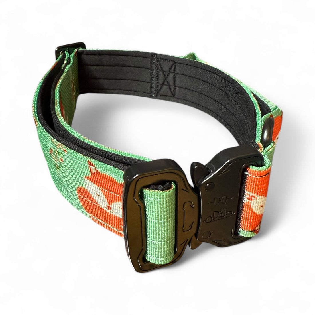 Inquisitive Fox Collar | Shop Brit | UK Pet Shop | Pet Products
