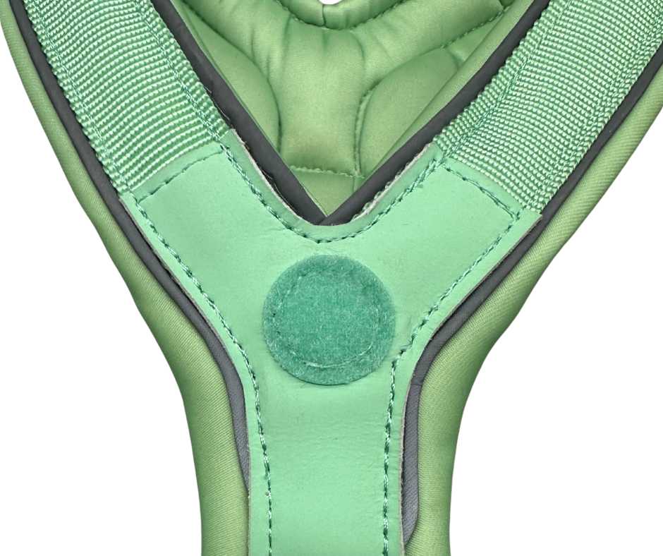 The 2.5cm BTactical™ Slip on Harness | Pastel Green