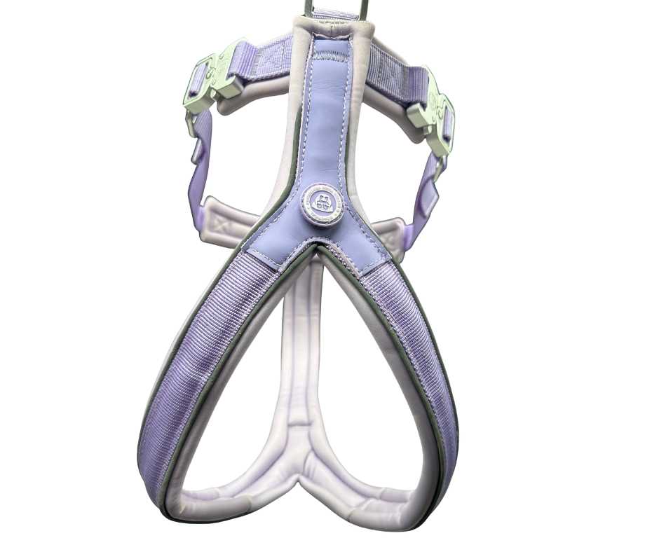 The 2.5cm BTactical™ Slip on Harness| Pastel Purple