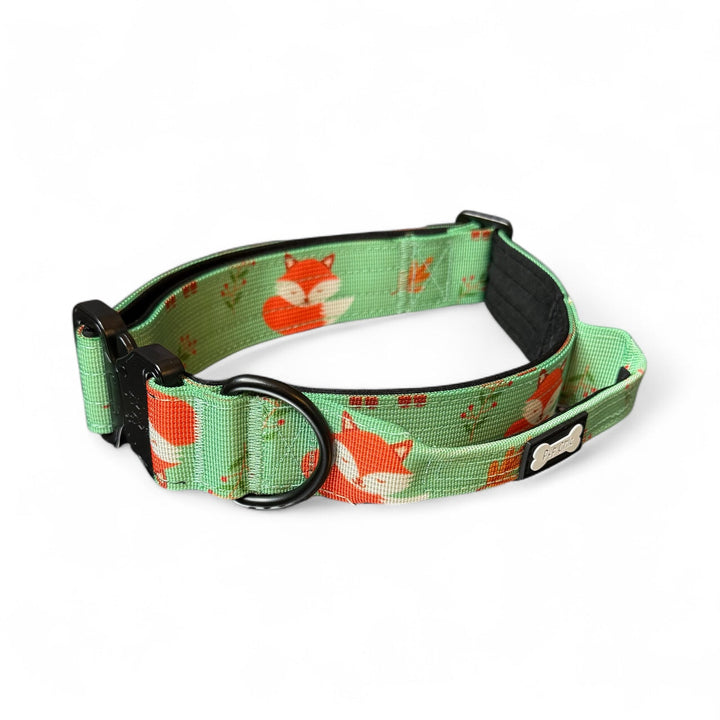 Inquisitive Fox Tactical Dog Collar | Shop Brit | UK Pet Shop | 