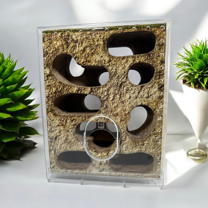 LillipHut Amazing-A-Maze Kit | Shop Brit | UK Pet Shop | Small Pet Accessories