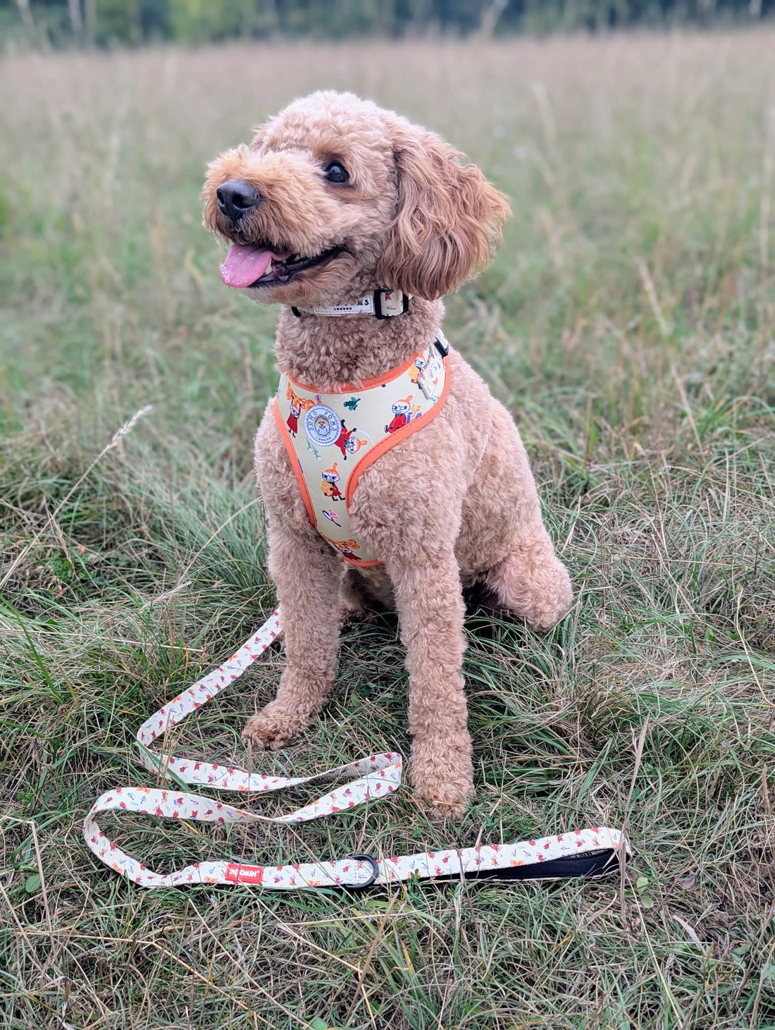 Moomins Yellow Sunrise Dog Lead by Soho Poms | Shop Brit | UK Pet Shop | Dog Lead