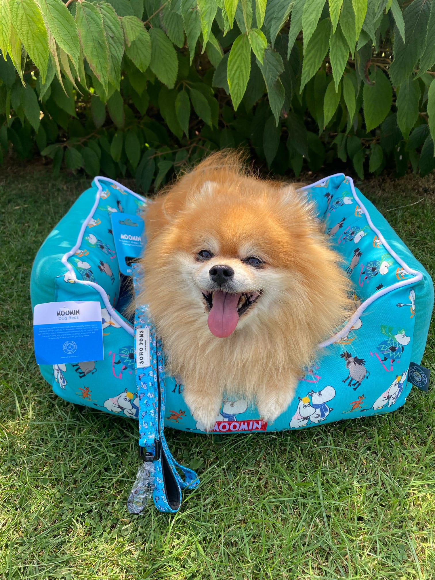 Moomins Blue Ski Holidays Bed by SohoPoms | Shop Brit | UK Pet Shop | Dog Beds