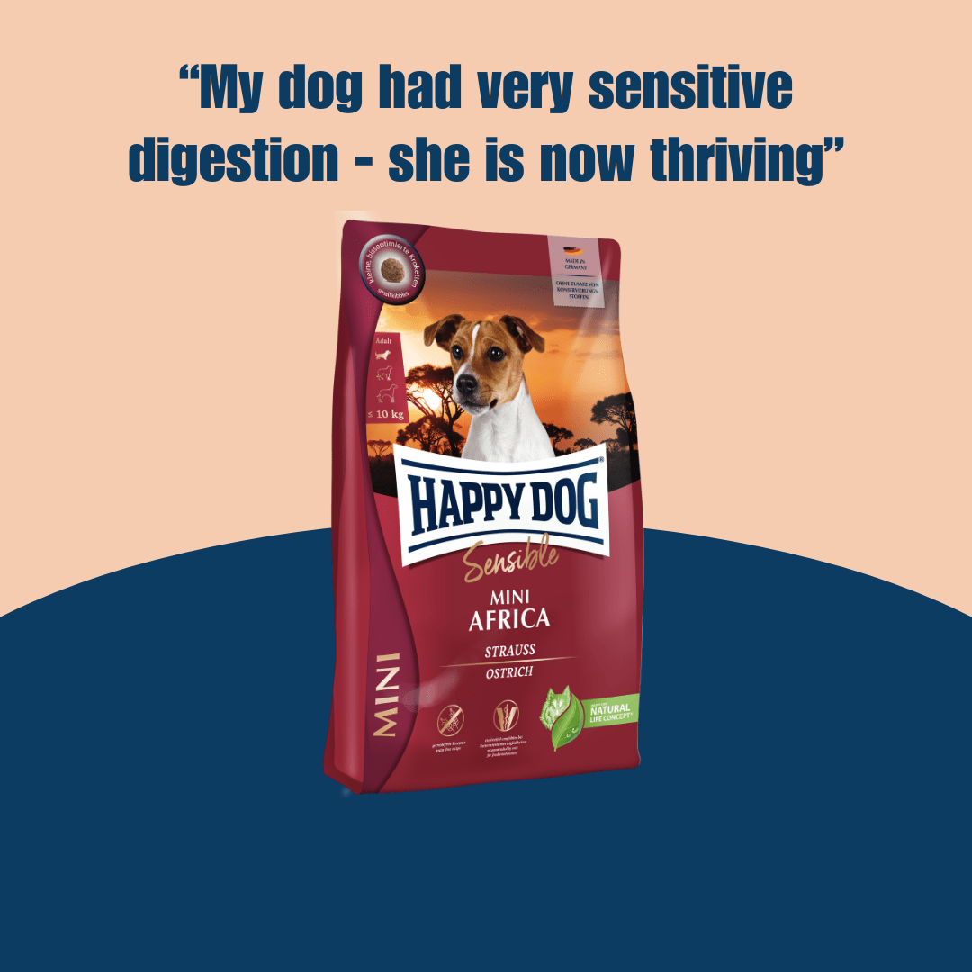Mini Africa | Shop Brit | UK Pet Shop | Grain-Free Dog Food