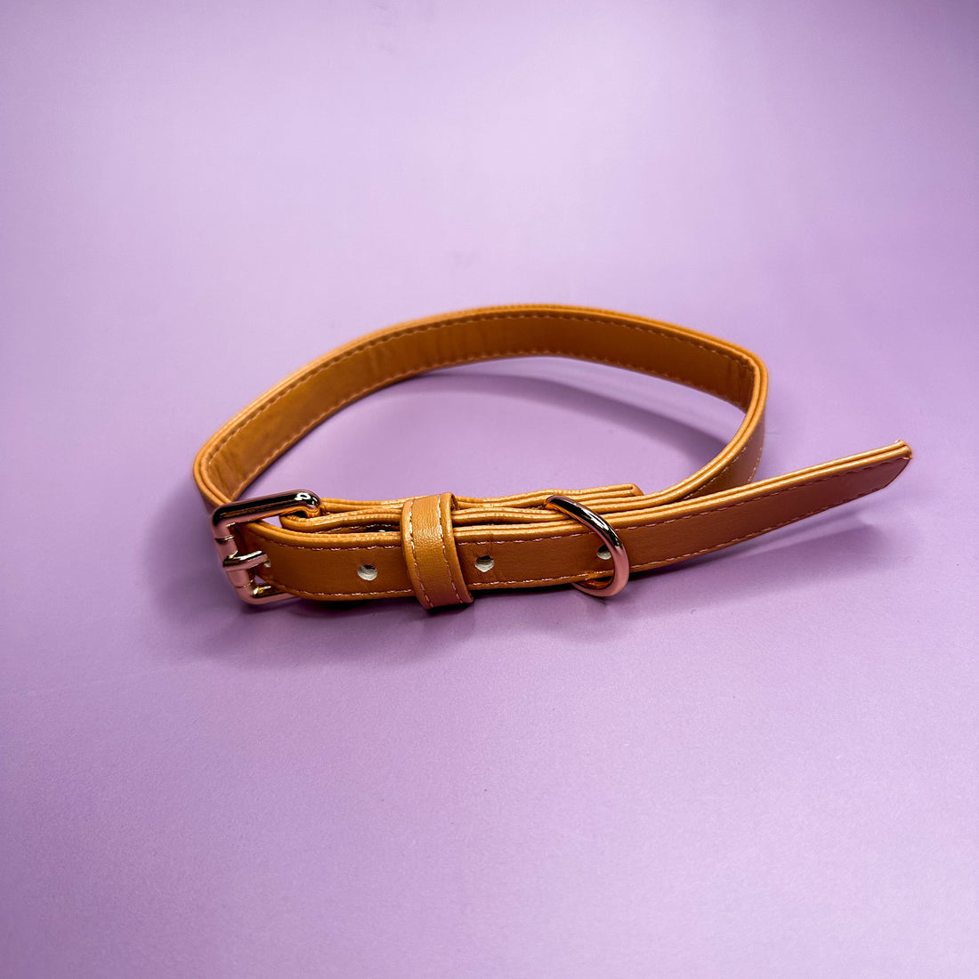 Alfresco Pup vegan leather dog collar - camel colour buckle dog collar | Shop Brit | UK Pet Shop | Pet Products