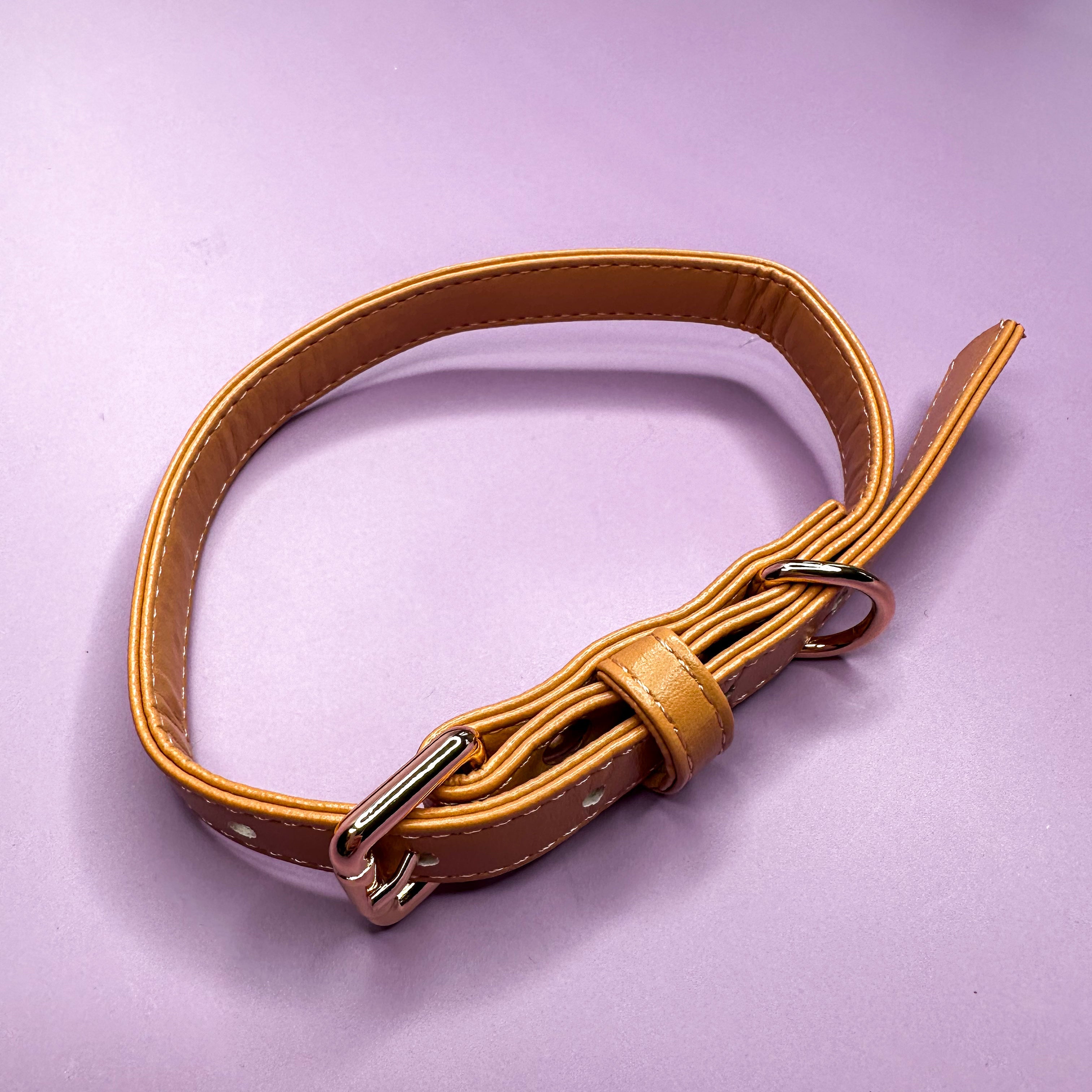 Alfresco Pup vegan leather dog collar - camel colour buckle dog collar | Shop Brit | UK Pet Shop | Pet Products