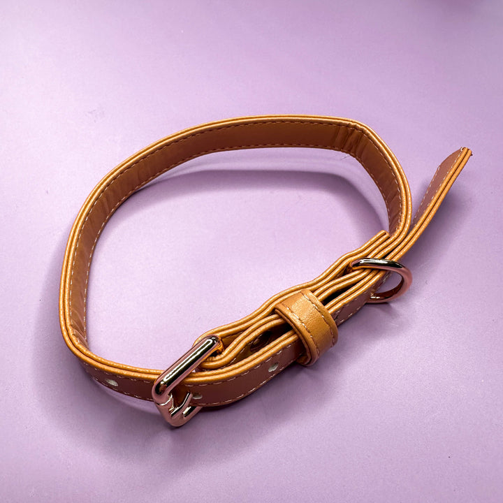 Alfresco Pup vegan leather dog collar - camel colour buckle dog collar | Shop Brit | UK Pet Shop | Pet Products