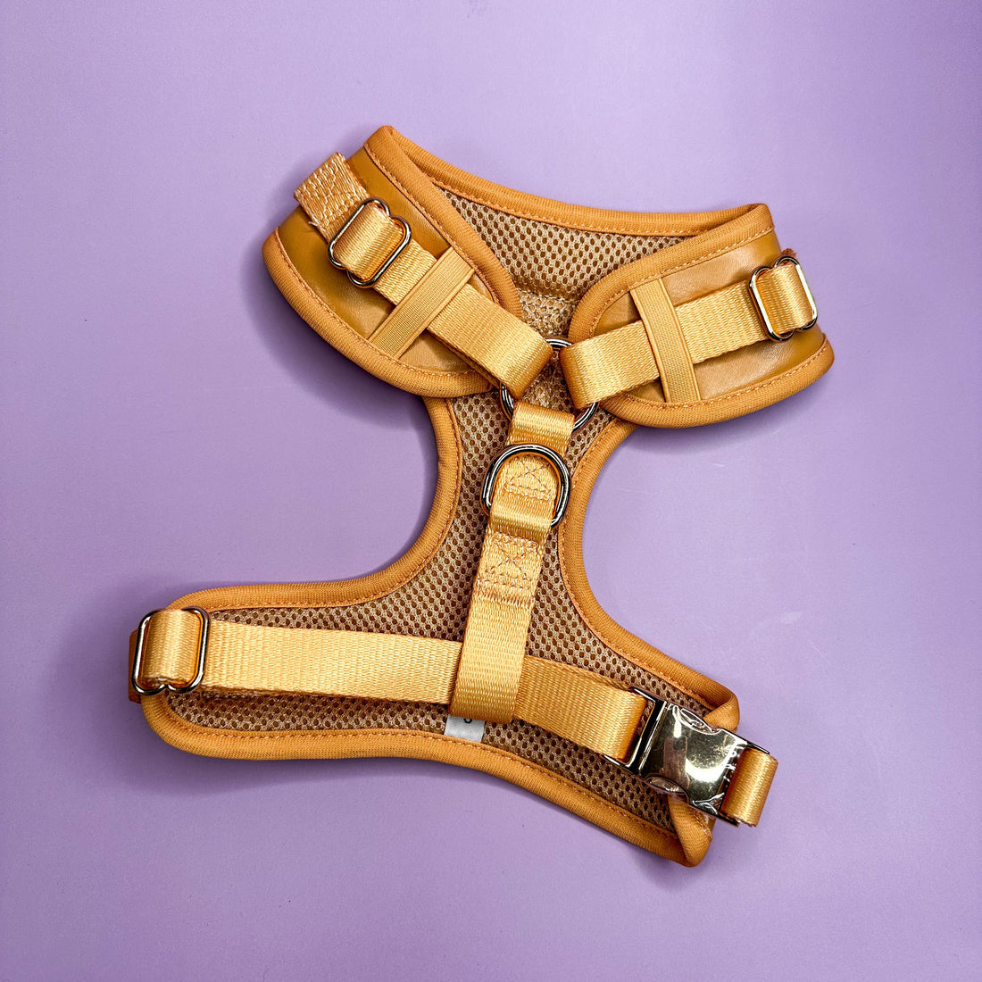 Alfresco Pup faux leather dog harness - camel colour adjustable dog harness | Shop Brit | UK Pet Shop | Pet Products
