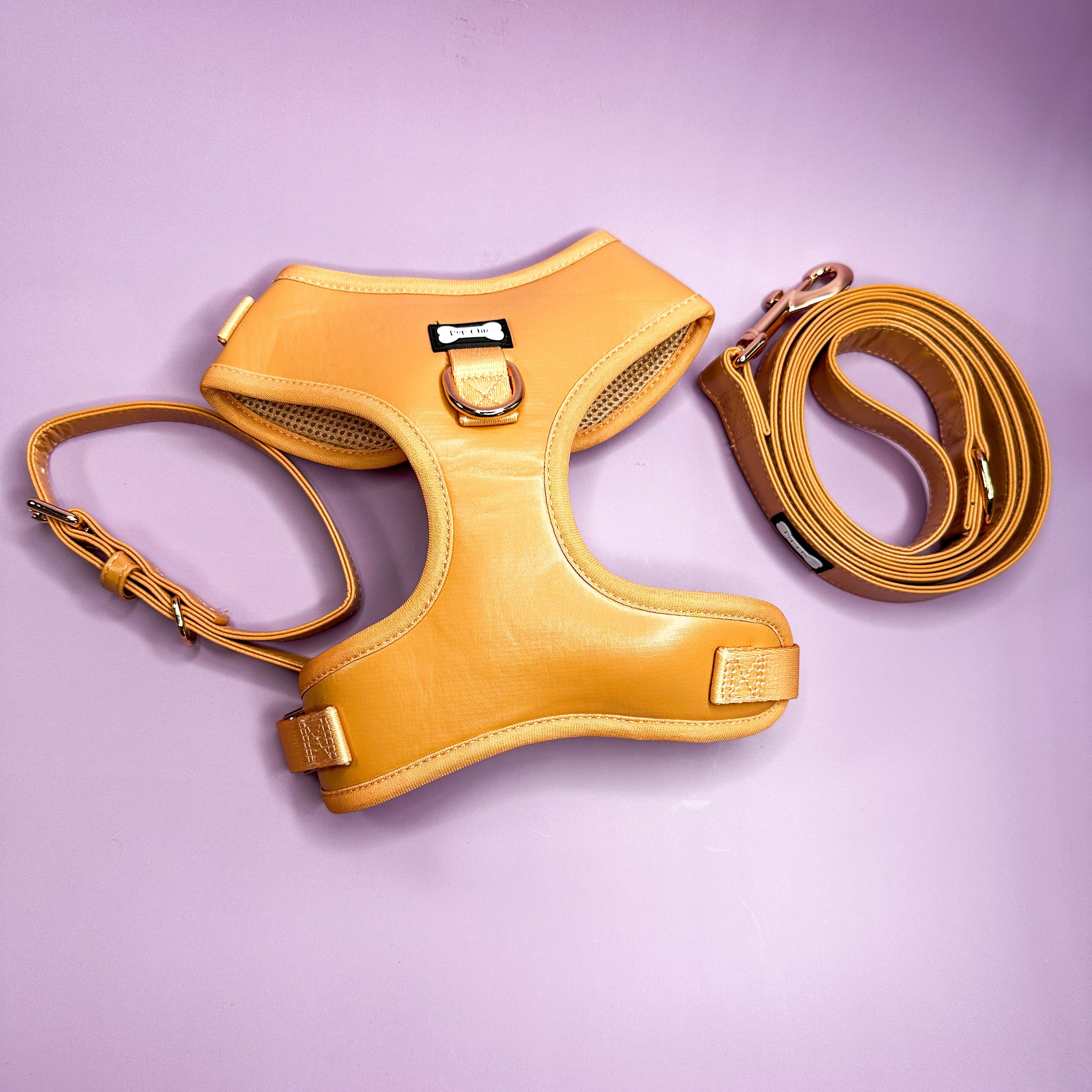 Alfresco Pup vegan leather dog collar - camel colour buckle dog collar | Shop Brit | UK Pet Shop | Pet Products