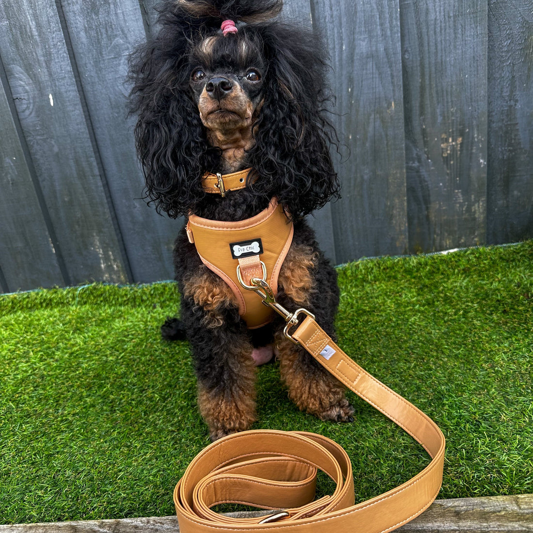 Alfresco Pup faux leather dog harness - camel colour adjustable dog harness | Shop Brit | UK Pet Shop | Pet Products