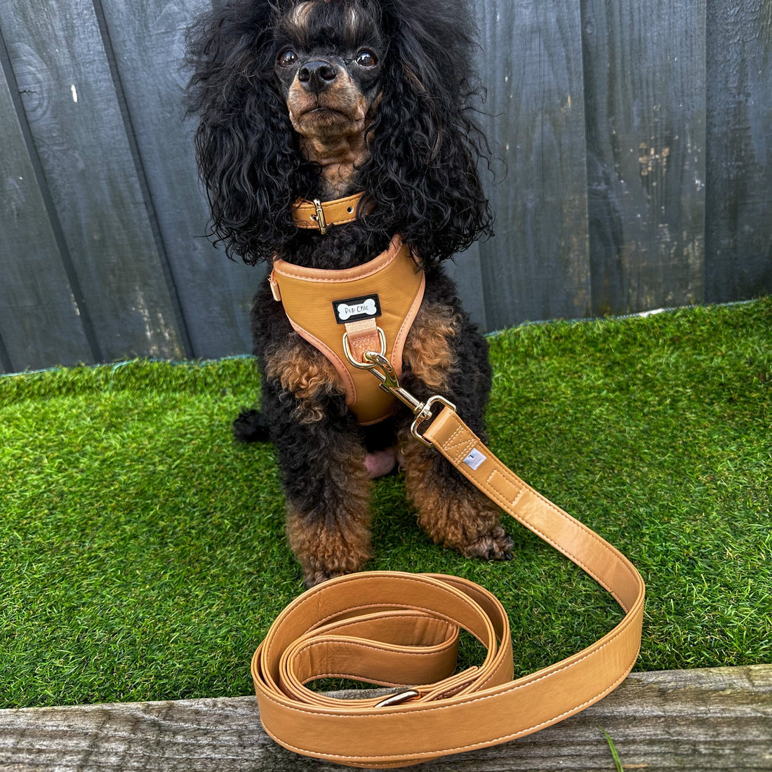 Alfresco Pup vegan leather 5ft dog lead | Shop Brit | UK Pet Shop | Pet Products